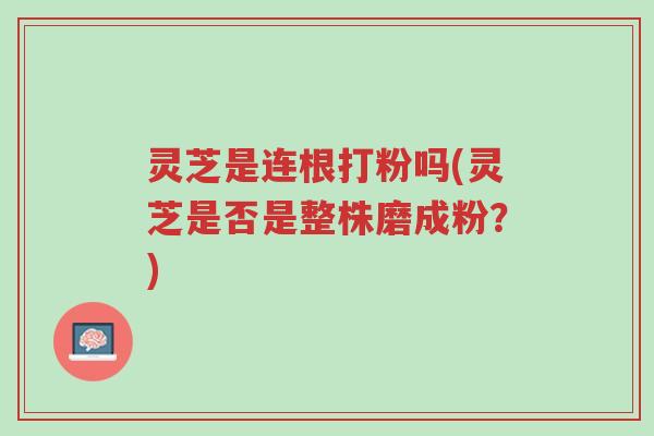 灵芝是连根打粉吗(灵芝是否是整株磨成粉？)-第1张图片-超越