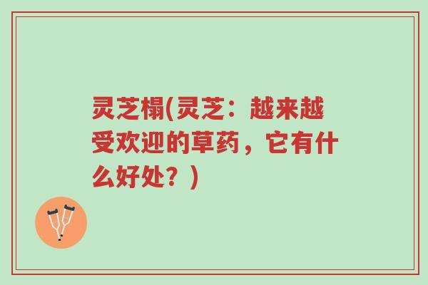 灵芝榻(灵芝：越来越受欢迎的草药，它有什么好处？)-第1张图片-超越