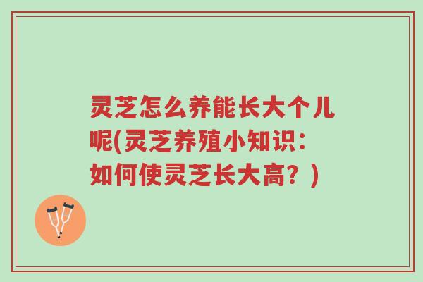 灵芝怎么养能长大个儿呢(灵芝养殖小知识:如何使灵芝长大高?)-第1张图片-超越 灵芝怎么养能长大个儿呢(灵芝养殖小知识:如何使灵芝长大高?)-第1张图片-超越