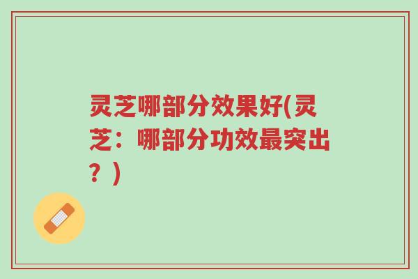 灵芝哪部分效果好(灵芝:哪部分功效最突出?)-第1张图片-超越 灵芝哪部分效果好(灵芝:哪部分功效最突出?)-第1张图片-超越