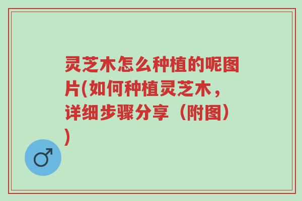 灵芝木怎么种植的呢图片(如何种植灵芝木，详细步骤分享（附图）)-第1张图片-超越