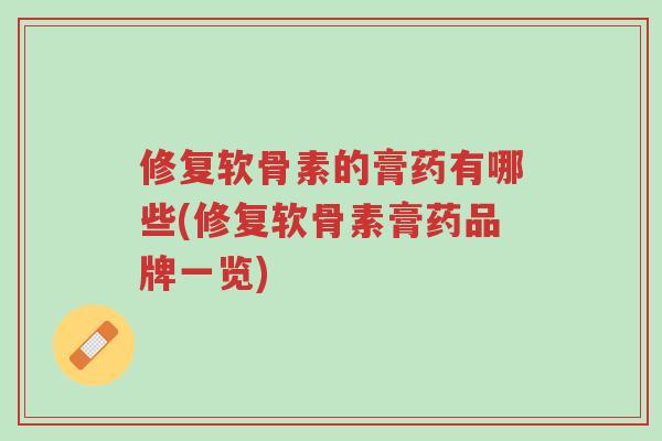 修复软骨素的膏药有哪些(修复软骨素膏药品牌一览)-第1张图片-超越