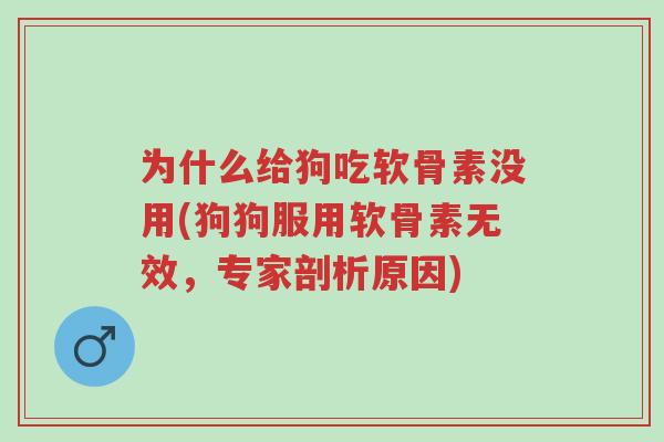 为什么给狗吃软骨素没用(狗狗服用软骨素无效,专家剖析原因)-第1张图片-超越 为什么给狗吃软骨素没用(狗狗服用软骨素无效,专家剖析原因)-第1张图片-超越