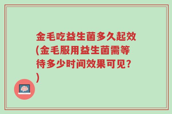 金毛吃益生菌多久起效(金毛服用益生菌需等待多少时间效果可见?)-第1张图片-超越 金毛吃益生菌多久起效(金毛服用益生菌需等待多少时间效果可见?)-第1张图片-超越