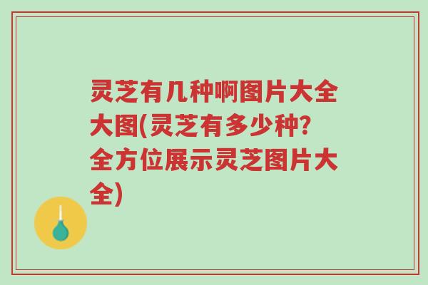 灵芝有几种啊图片大全大图(灵芝有多少种?全方位展示灵芝图片大全)-第1张图片-超越 灵芝有几种啊图片大全大图(灵芝有多少种?全方位展示灵芝图片大全)-第1张图片-超越
