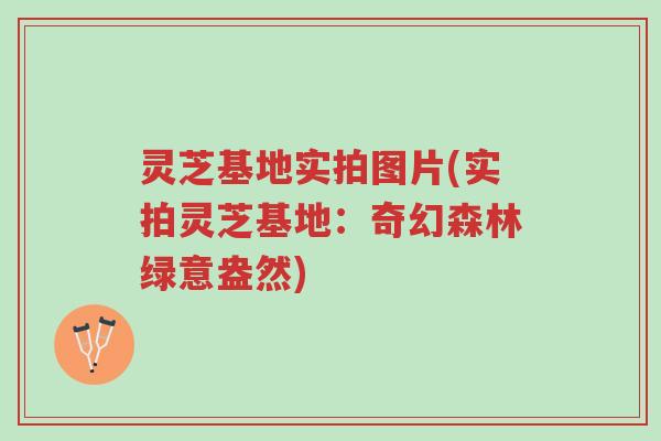 灵芝基地实拍图片(实拍灵芝基地：奇幻森林绿意盎然)-第1张图片-超越