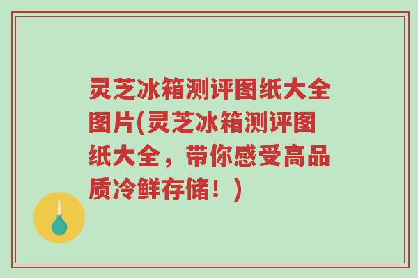 灵芝冰箱测评图纸大全图片(灵芝冰箱测评图纸大全,带你感受高品质冷鲜存储!)-第1张图片-超越 灵芝冰箱测评图纸大全图片(灵芝冰箱测评图纸大全,带你感受高品质冷鲜存储!)-第1张图片-超越