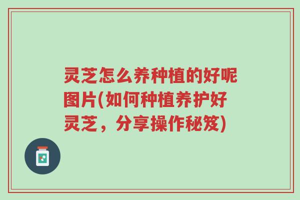 灵芝怎么养种植的好呢图片(如何种植养护好灵芝,分享操作秘笈)-第1张图片-超越 灵芝怎么养种植的好呢图片(如何种植养护好灵芝,分享操作秘笈)-第1张图片-超越
