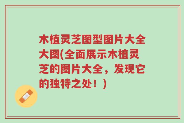 木植灵芝图型图片大全大图(全面展示木植灵芝的图片大全,发现它的独特之处!)-第1张图片-超越 木植灵芝图型图片大全大图(全面展示木植灵芝的图片大全,发现它的独特之处!)-第1张图片-超越