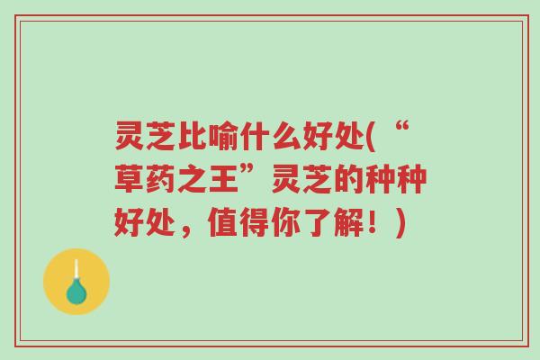 灵芝比喻什么好处(“草药之王”灵芝的种种好处,值得你了解!)-第1张图片-超越 灵芝比喻什么好处(“草药之王”灵芝的种种好处,值得你了解!)-第1张图片-超越