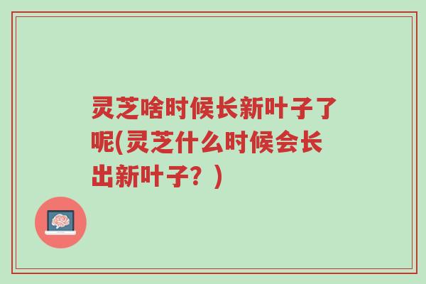 灵芝啥时候长新叶子了呢(灵芝什么时候会长出新叶子?)-第1张图片-超越 灵芝啥时候长新叶子了呢(灵芝什么时候会长出新叶子?)-第1张图片-超越