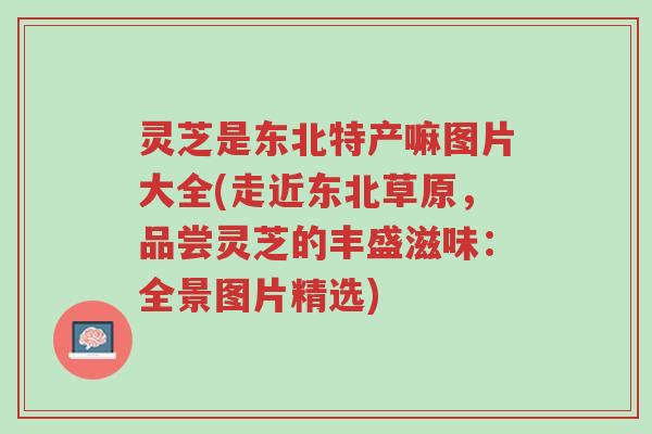灵芝是东北特产嘛图片大全(走近东北草原,品尝灵芝的丰盛滋味:全景图片精选)-第1张图片-超越 灵芝是东北特产嘛图片大全(走近东北草原,品尝灵芝的丰盛滋味:全景图片精选)-第1张图片-超越