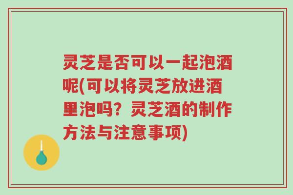 灵芝是否可以一起泡酒呢(可以将灵芝放进酒里泡吗？灵芝酒的制作方法与注意事项)-第1张图片-超越