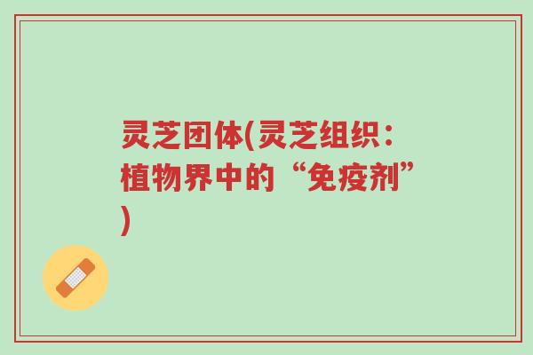 灵芝团体(灵芝组织:植物界中的“免疫剂”)-第1张图片-超越 灵芝团体(灵芝组织:植物界中的“免疫剂”)-第1张图片-超越