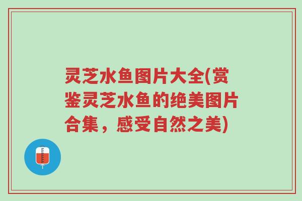 灵芝水鱼图片大全(赏鉴灵芝水鱼的绝美图片合集，感受自然之美)-第1张图片-超越
