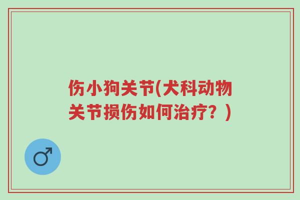 伤小狗关节(犬科动物关节损伤如何治疗?)-第1张图片-超越 伤小狗关节(犬科动物关节损伤如何治疗?)-第1张图片-超越