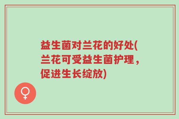 益生菌对兰花的好处(兰花可受益生菌护理,促进生长绽放)-第1张图片-超越 益生菌对兰花的好处(兰花可受益生菌护理,促进生长绽放)-第1张图片-超越