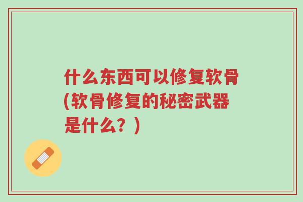 什么东西可以修复软骨(软骨修复的秘密武器是什么?)-第1张图片-超越 什么东西可以修复软骨(软骨修复的秘密武器是什么?)-第1张图片-超越