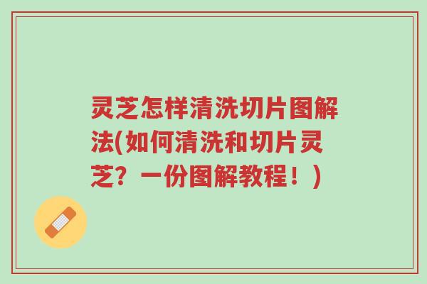 灵芝怎样清洗切片图解法(如何清洗和切片灵芝?一份图解教程!)-第1张图片-超越 灵芝怎样清洗切片图解法(如何清洗和切片灵芝?一份图解教程!)-第1张图片-超越