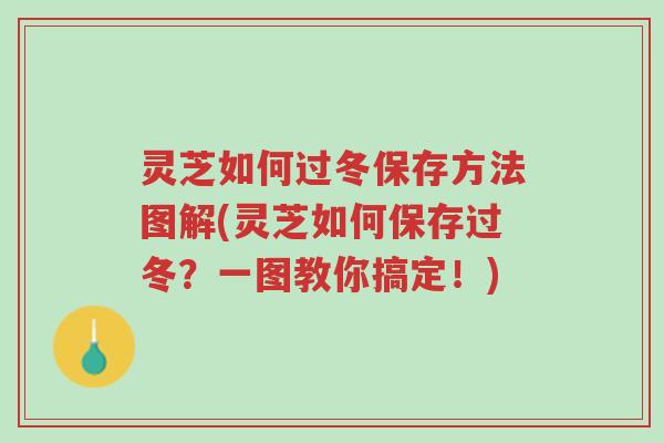 灵芝如何过冬保存方法图解(灵芝如何保存过冬?一图教你搞定!)-第1张图片-超越 灵芝如何过冬保存方法图解(灵芝如何保存过冬?一图教你搞定!)-第1张图片-超越