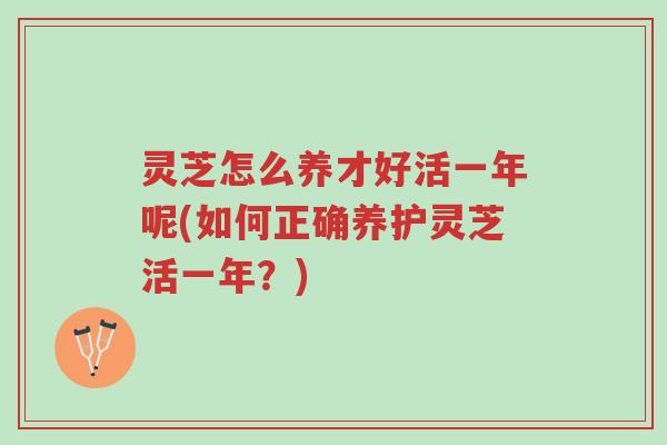 灵芝怎么养才好活一年呢(如何正确养护灵芝活一年？)-第1张图片-超越