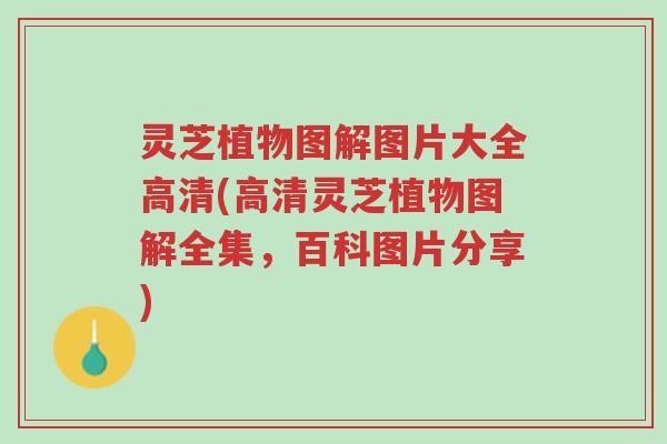 灵芝植物图解图片大全高清(高清灵芝植物图解全集，百科图片分享)-第1张图片-超越