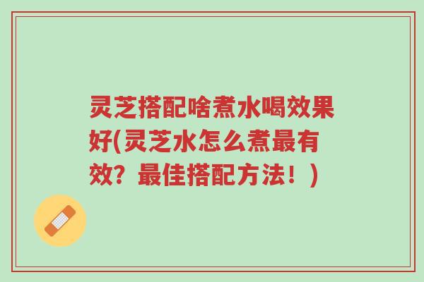 灵芝搭配啥煮水喝效果好(灵芝水怎么煮最有效?最佳搭配方法!)-第1张图片-超越 灵芝搭配啥煮水喝效果好(灵芝水怎么煮最有效?最佳搭配方法!)-第1张图片-超越