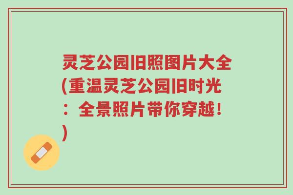 灵芝公园旧照图片大全(重温灵芝公园旧时光:全景照片带你穿越!)-第1张图片-超越 灵芝公园旧照图片大全(重温灵芝公园旧时光:全景照片带你穿越!)-第1张图片-超越