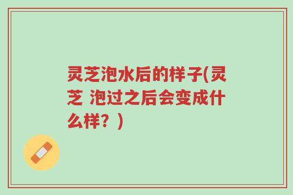 灵芝泡水后的样子(灵芝 泡过之后会变成什么样？)-第1张图片-超越