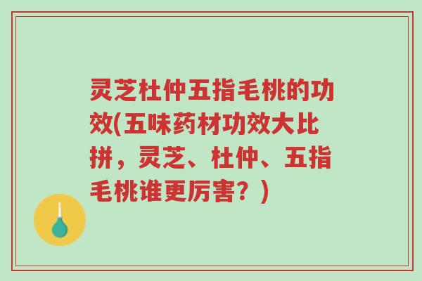 灵芝杜仲五指毛桃的功效(五味药材功效大比拼,灵芝、杜仲、五指毛桃谁更厉害?)-第1张图片-超越 灵芝杜仲五指毛桃的功效(五味药材功效大比拼,灵芝、杜仲、五指毛桃谁更厉害?)-第1张图片-超越