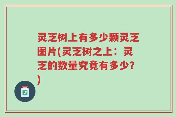 灵芝树上有多少颗灵芝图片(灵芝树之上:灵芝的数量究竟有多少?)-第1张图片-超越 灵芝树上有多少颗灵芝图片(灵芝树之上:灵芝的数量究竟有多少?)-第1张图片-超越