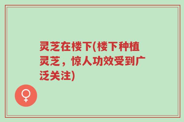 灵芝在楼下(楼下种植灵芝,惊人功效受到广泛关注)-第1张图片-超越 灵芝在楼下(楼下种植灵芝,惊人功效受到广泛关注)-第1张图片-超越