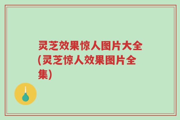 灵芝效果惊人图片大全(灵芝惊人效果图片全集)-第1张图片-超越 灵芝效果惊人图片大全(灵芝惊人效果图片全集)-第1张图片-超越