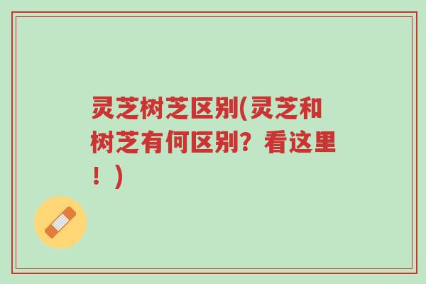 灵芝树芝区别(灵芝和树芝有何区别?看这里!)-第1张图片-超越 灵芝树芝区别(灵芝和树芝有何区别?看这里!)-第1张图片-超越