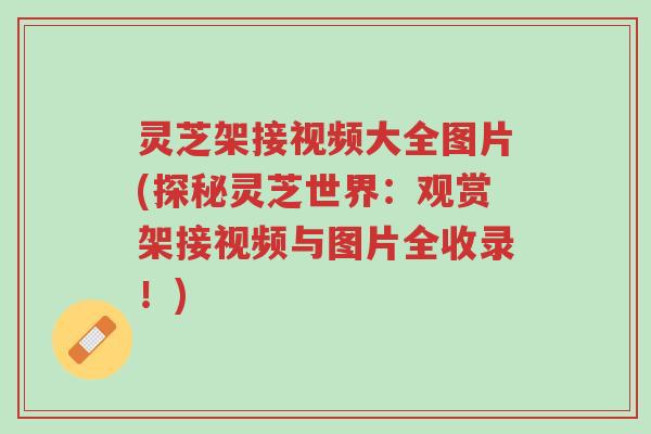 灵芝架接视频大全图片(探秘灵芝世界:观赏架接视频与图片全收录!)-第1张图片-超越 灵芝架接视频大全图片(探秘灵芝世界:观赏架接视频与图片全收录!)-第1张图片-超越