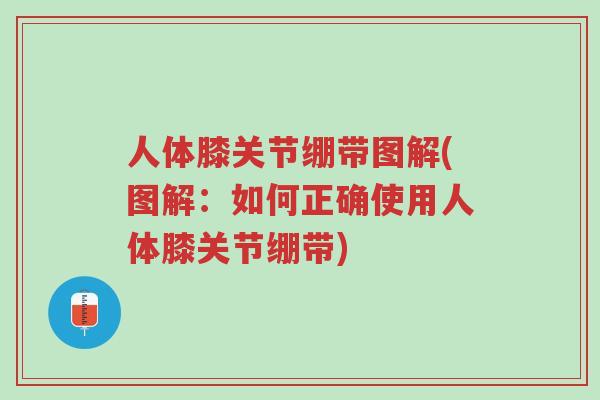 人体膝关节绷带图解(图解:如何正确使用人体膝关节绷带)-第1张图片-超越 人体膝关节绷带图解(图解:如何正确使用人体膝关节绷带)-第1张图片-超越