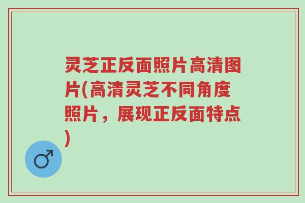 灵芝正反面照片高清图片(高清灵芝不同角度照片,展现正反面特点)-第1张图片-超越 灵芝正反面照片高清图片(高清灵芝不同角度照片,展现正反面特点)-第1张图片-超越
