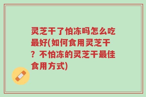 灵芝干了怕冻吗怎么吃最好(如何食用灵芝干？不怕冻的灵芝干最佳食用方式)-第1张图片-超越