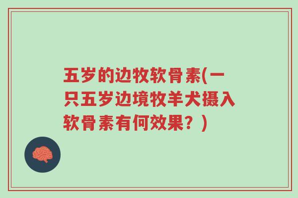 五岁的边牧软骨素(一只五岁边境牧羊犬摄入软骨素有何效果?)-第1张图片-超越 五岁的边牧软骨素(一只五岁边境牧羊犬摄入软骨素有何效果?)-第1张图片-超越