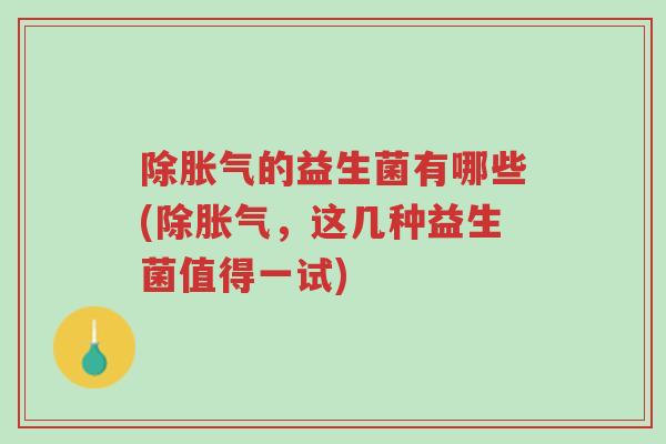 除胀气的益生菌有哪些(除胀气,这几种益生菌值得一试)-第1张图片-超越 除胀气的益生菌有哪些(除胀气,这几种益生菌值得一试)-第1张图片-超越