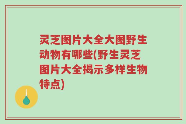 灵芝图片大全大图野生动物有哪些(野生灵芝图片大全揭示多样生物特点)-第1张图片-超越 灵芝图片大全大图野生动物有哪些(野生灵芝图片大全揭示多样生物特点)-第1张图片-超越