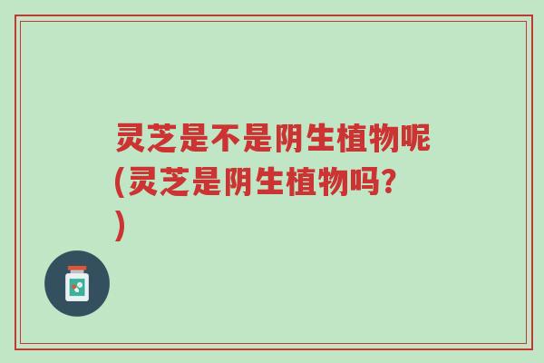 灵芝是不是阴生植物呢(灵芝是阴生植物吗?)-第1张图片-超越 灵芝是不是阴生植物呢(灵芝是阴生植物吗?)-第1张图片-超越