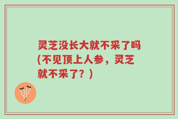 灵芝没长大就不采了吗(不见顶上人参，灵芝就不采了？)-第1张图片-超越