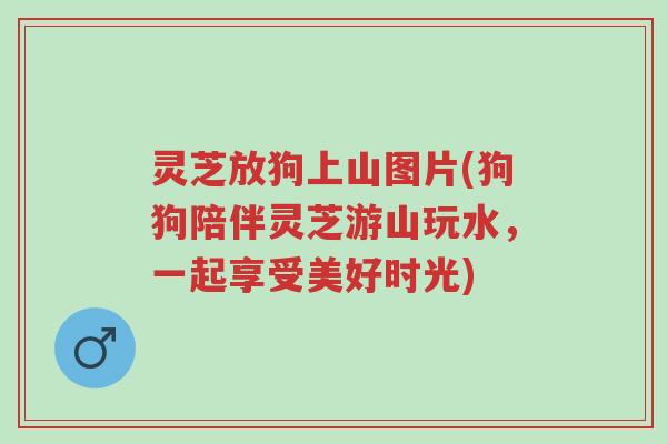 灵芝放狗上山图片(狗狗陪伴灵芝游山玩水，一起享受美好时光)-第1张图片-超越