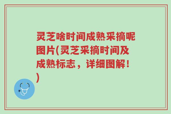 灵芝啥时间成熟采摘呢图片(灵芝采摘时间及成熟标志，详细图解！)-第1张图片-超越