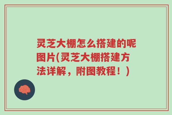 灵芝大棚怎么搭建的呢图片(灵芝大棚搭建方法详解,附图教程!)-第1张图片-超越 灵芝大棚怎么搭建的呢图片(灵芝大棚搭建方法详解,附图教程!)-第1张图片-超越