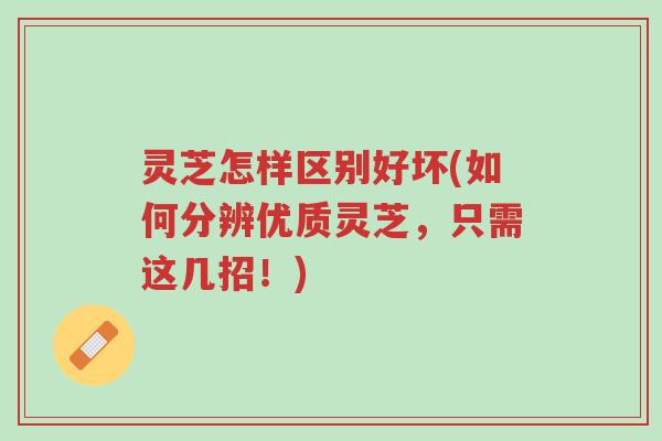 灵芝怎样区别好坏(如何分辨优质灵芝,只需这几招!)-第1张图片-超越 灵芝怎样区别好坏(如何分辨优质灵芝,只需这几招!)-第1张图片-超越