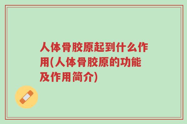 人体骨胶原起到什么作用(人体骨胶原的功能及作用简介)-第1张图片-超越 人体骨胶原起到什么作用(人体骨胶原的功能及作用简介)-第1张图片-超越