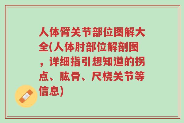 人体臂关节部位图解大全(人体肘部位解剖图,详细指引想知道的拐点、肱骨、尺桡关节等信息)-第1张图片-超越 人体臂关节部位图解大全(人体肘部位解剖图,详细指引想知道的拐点、肱骨、尺桡关节等信息)-第1张图片-超越
