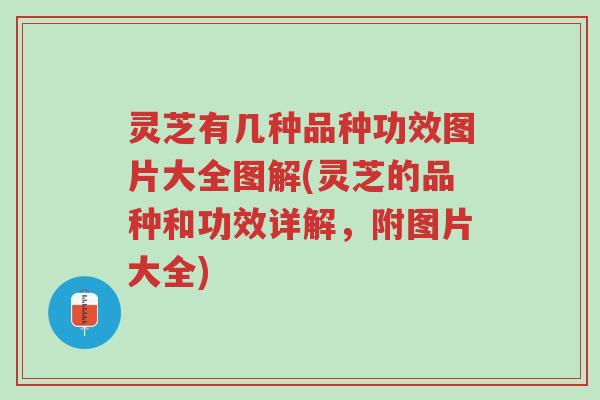 灵芝有几种品种功效图片大全图解(灵芝的品种和功效详解,附图片大全)-第1张图片-超越 灵芝有几种品种功效图片大全图解(灵芝的品种和功效详解,附图片大全)-第1张图片-超越